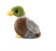 SMOLS MALLARD DUCK