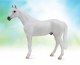 FLEABITTEN GREY THOROUGHBRED