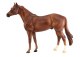 AMERICAN QUARTER HORSE