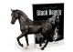 BLACK BEAUTY HORSE AND BOOK