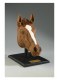 HORSE HEAD PEG SCULPTURE KIT