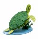 PAPER MODEL Sea Turtle