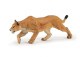 LIONESS CHASING