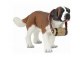 SAINT BERNARD