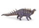 POLACANTHUS
