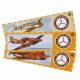 AIRPLANE GLIDERS