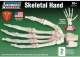 SKELETON HAND