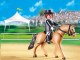 GERMAN SPORT HORSE
