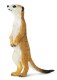 MEERKAT