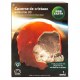 3D ASTEROID CRYSTAL CAVERN
