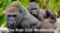 SD Zoo Kid Explorer Membership