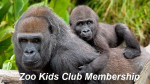 SD Zoo Kids Club Membership