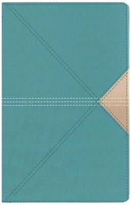 NAS LP THINLINE TEAL IMIT LTHR
