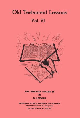 Old Testament Lessons Vol. 6