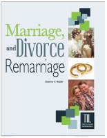 Marriage, Divorce, and Remarriage (Truth in Life)