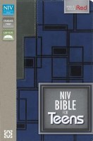 NIV Teen Bible - Blue/Gray
