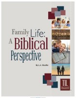 Family Life: A Biblical Perspective (Truth in Life)