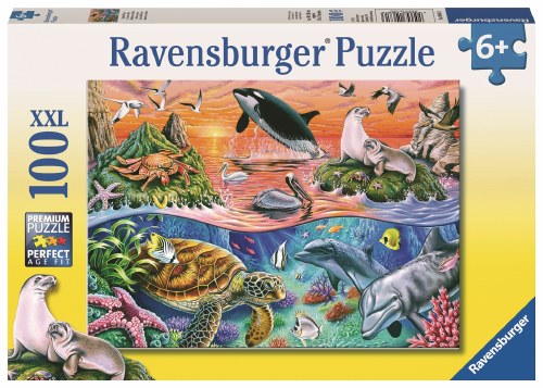 Beautiful Ocean 100 pc