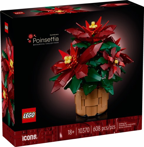 Poinsettia 10370