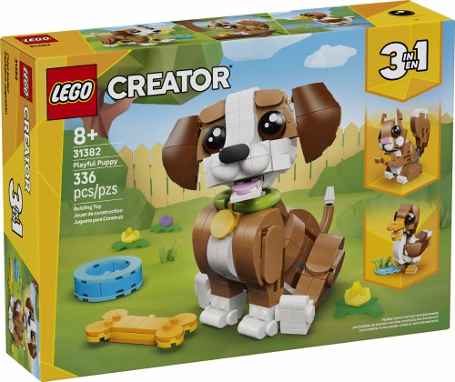 Cute Animals: Playful Puppy Dog 31382