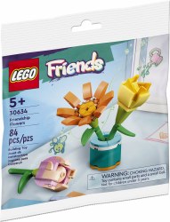 Friendship Flowers 30634
