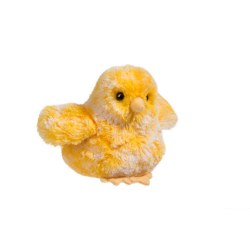 Yellow Chick