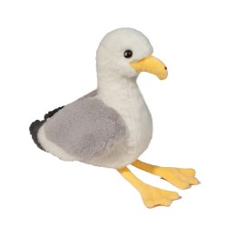 Stewie Seagull