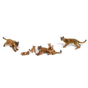 Cougars &amp; Cubs