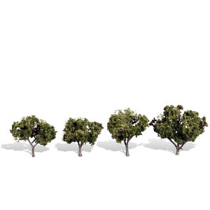 Classic Trees, Sun Kissed 2-3"