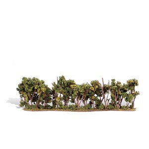 Classic Trees, Hedge Row 1-2"