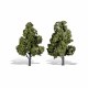 Classic Trees, Sun Kissed 7-8"