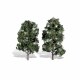 Classic Trees, Cool Shade 8-9"