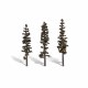 Classic, Standing Timber 7-8"