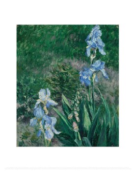Caillebotte: Iris bleus, jardin du Petit Gennevilliers Print