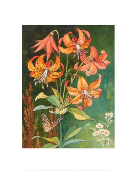 Holmes: Michigan Lily Print