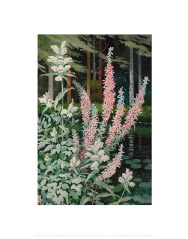Holmes: Purple Loosetrife and Turtlehead Print