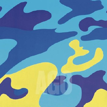 Warhol: Camouflage Blue Yellow