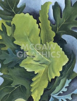 O'Keeffe: Green Oak Leaves