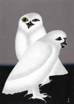Pootoogook: Unnuarsiut Uppiik (Night Owls)