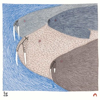 Teevee: Swimming Walrus