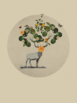 Gregorio: Buckwild Print