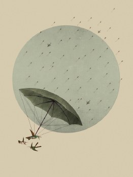 Gregorio: Canopy Print