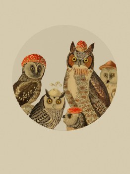 Gregorio: WhoooooooDis? Print