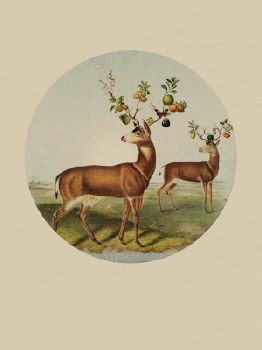 Gregorio: Horns of Plenty Print
