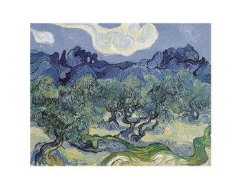 Vincent van Gogh:The Olive Trees - 11" x 14"