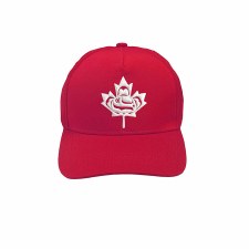 Additional picture of Wilson: Standing Together Baseball Cap