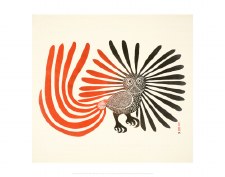 Ashevak: The Enchanted Owl Art Block