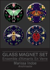Indoe: Glass Magnet Set