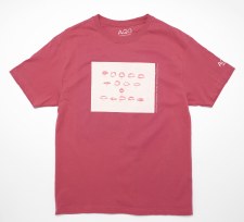 Wieland: The Arctic Belongs to Itself T-Shirt, Medium