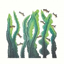 Additional picture of Cee Pootoogook: Kelp Garden Matted Print
